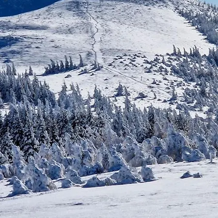 Au Pied Des Pistes Avec Commodites Proches - Fr-1-814-57 아파트 베세-에-생타나스타시